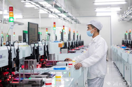 租著廠房搶市場,芯映光電 鏈 上湖北