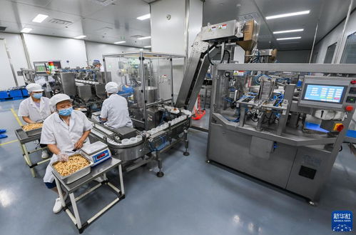 杭州臨安 小堅果成就大產業