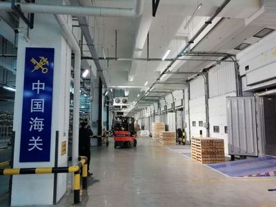 海南省考察團到遼寧自貿試驗區大連片區參觀考察