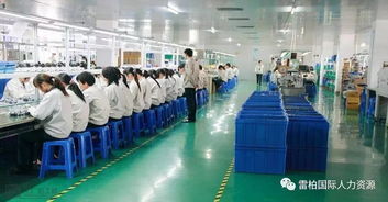 世碩電子 昆山 招聘