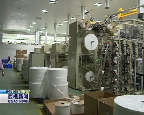 西樵 發(fā)揮產(chǎn)業(yè)集聚優(yōu)勢(shì) 提升衛(wèi)生用品企業(yè)競(jìng)爭(zhēng)力