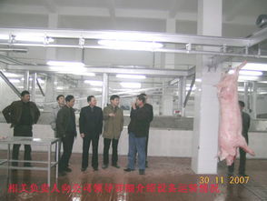 徽商食品天恒公司新肉聯廠試產成功