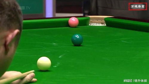 不惜代價(jià)打假球 胖子李走火入魔,被蒙在鼓里的丁俊暉一無(wú)所知