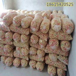 【膨化玉米球生產設備玉米圈食品加工機械】-