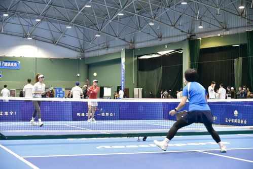 2025遼寧匹克球巡回賽鴨綠江杯丹東站開賽，振球啟航