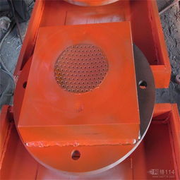 振球 活力四射的運動魅力